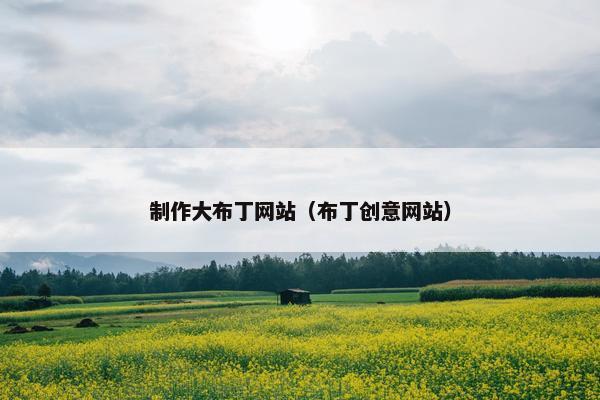 制作大布丁网站（布丁创意网站）