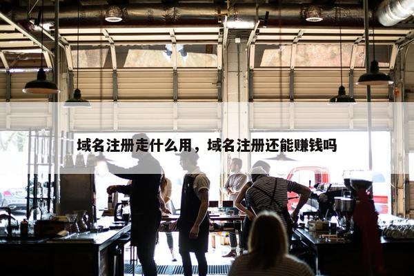 域名注册走什么用，域名注册还能赚钱吗