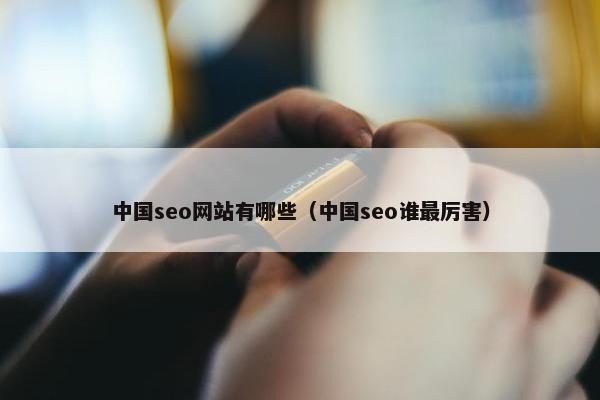 中国seo网站有哪些（中国seo谁最厉害）