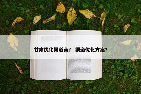 甘肃优化渠道商？ 渠道优化方案？