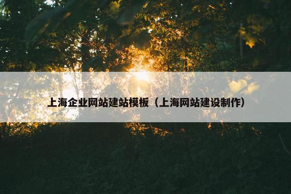 上海企业网站建站模板（上海网站建设制作）