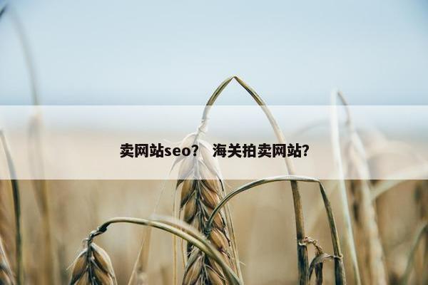 卖网站seo？ 海关拍卖网站？