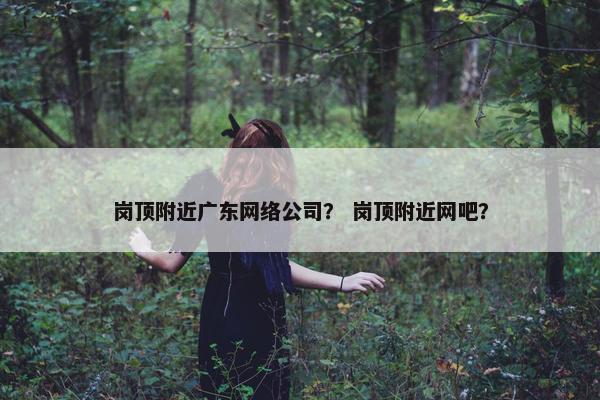 岗顶附近广东网络公司？ 岗顶附近网吧？