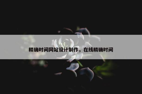 精确时间网站设计制作，在线精确时间