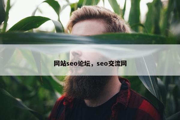 网站seo论坛，seo交流网
