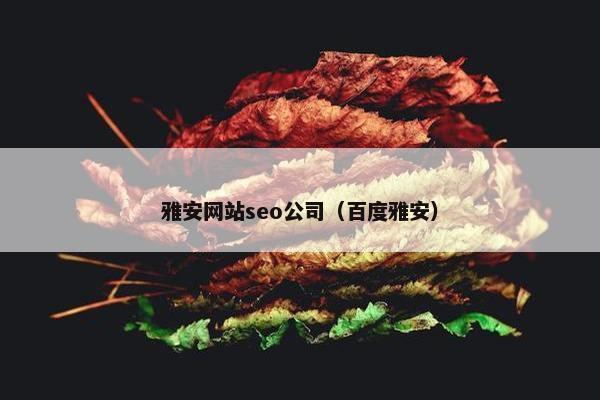 雅安网站seo公司（百度雅安）