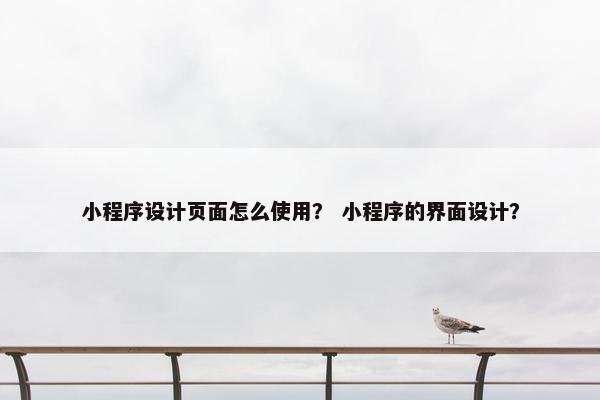 小程序设计页面怎么使用？ 小程序的界面设计？