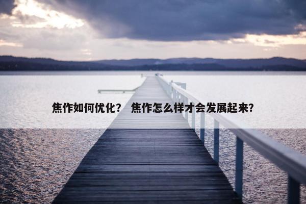 焦作如何优化？ 焦作怎么样才会发展起来？