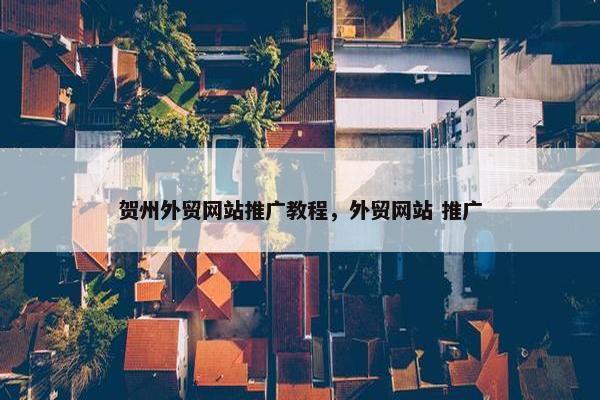 贺州外贸网站推广教程，外贸网站 推广