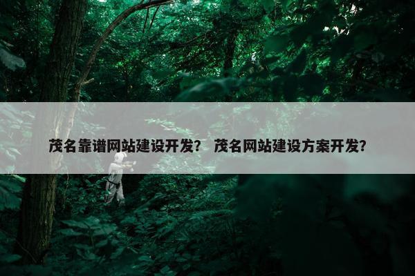 茂名靠谱网站建设开发？ 茂名网站建设方案开发？