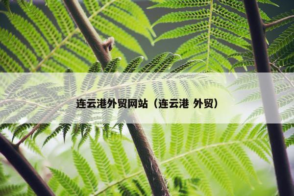 连云港外贸网站（连云港 外贸）