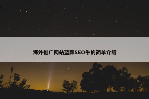 海外推广网站蓝颜SEO牛的简单介绍