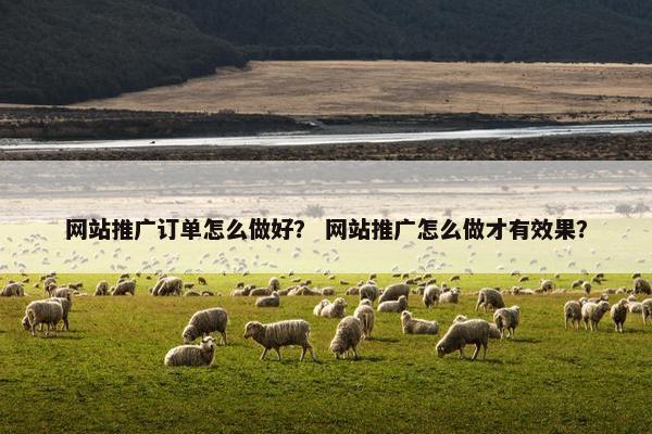 网站推广订单怎么做好？ 网站推广怎么做才有效果？