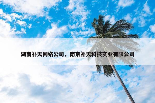 湖南补天网络公司，南京补天科技实业有限公司