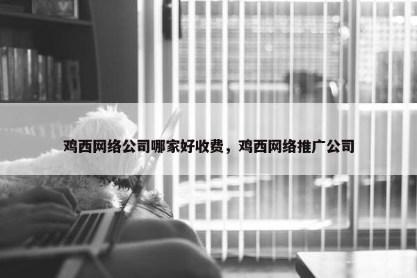 鸡西网络公司哪家好收费，鸡西网络推广公司