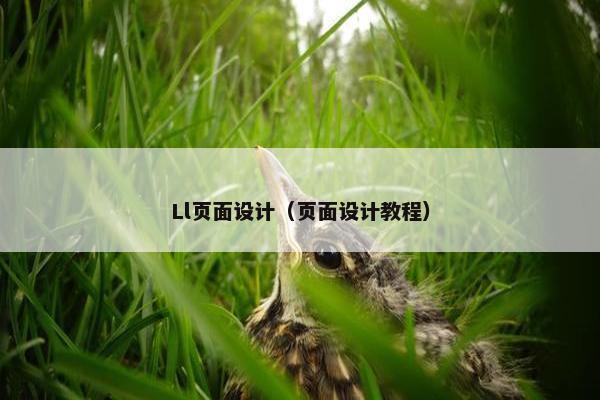 Ll页面设计（页面设计教程）