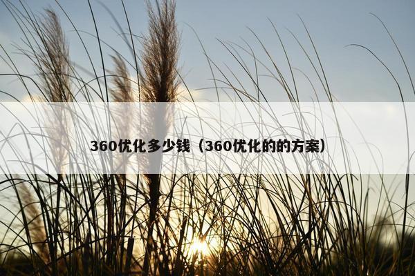 360优化多少钱（360优化的的方案）