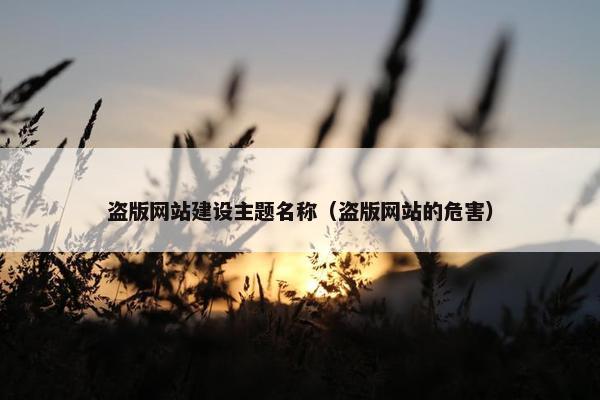 盗版网站建设主题名称（盗版网站的危害）