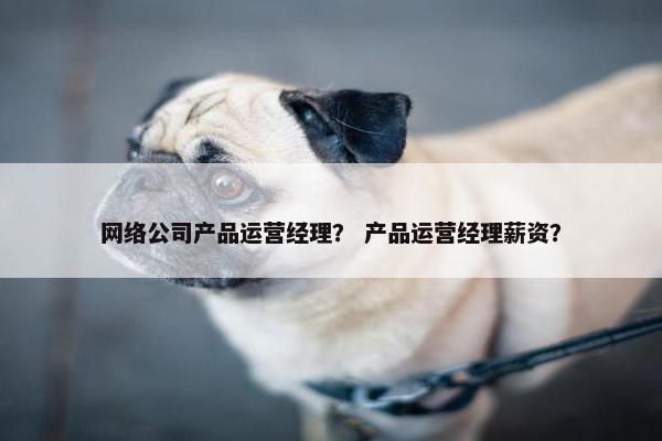 网络公司产品运营经理？ 产品运营经理薪资？