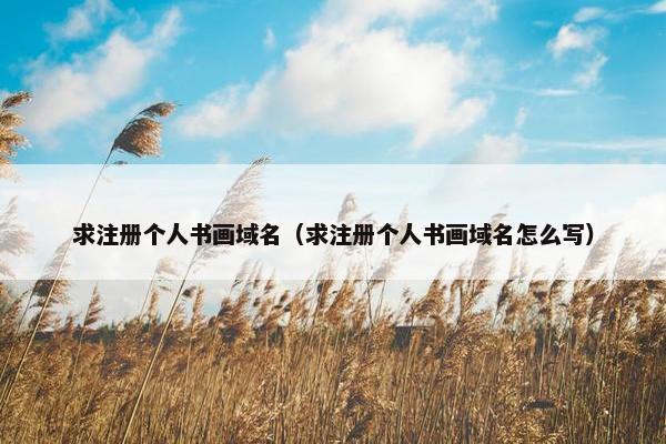 求注册个人书画域名（求注册个人书画域名怎么写）
