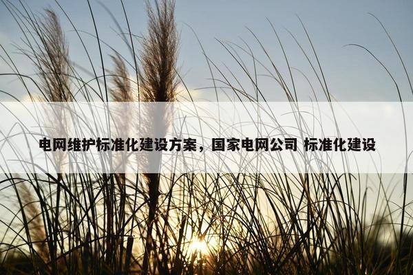 电网维护标准化建设方案，国家电网公司 标准化建设