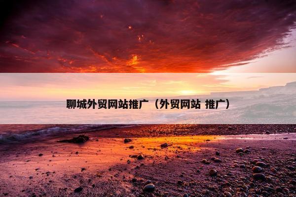 聊城外贸网站推广（外贸网站 推广）