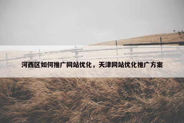 河西区如何推广网站优化，天津网站优化推广方案