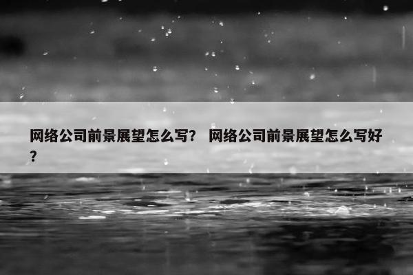 网络公司前景展望怎么写？ 网络公司前景展望怎么写好？