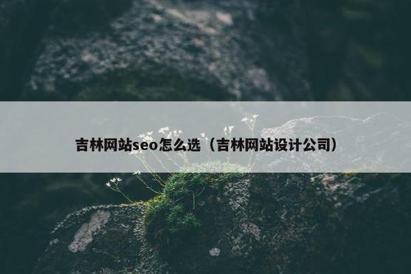 吉林网站seo怎么选（吉林网站设计公司）