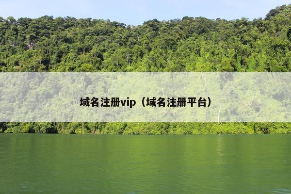 域名注册vip（域名注册平台）