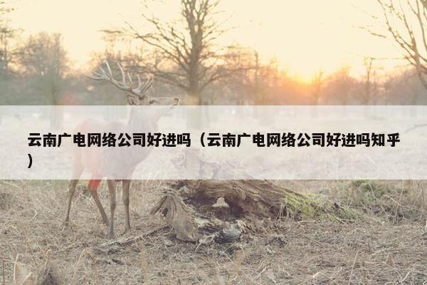 云南广电网络公司好进吗（云南广电网络公司好进吗知乎）