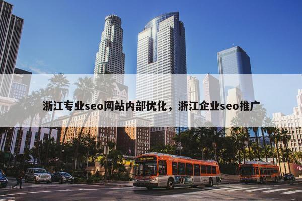 浙江专业seo网站内部优化，浙江企业seo推广