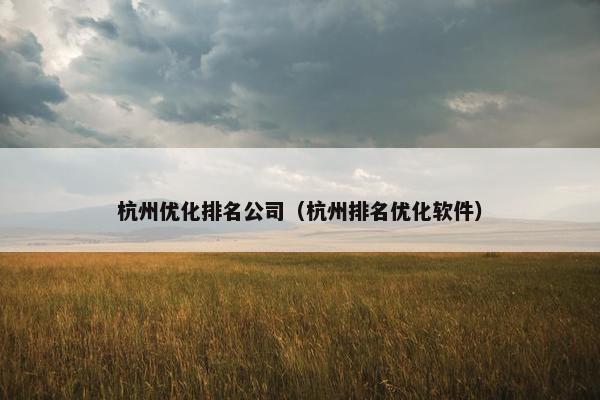 杭州优化排名公司（杭州排名优化软件）