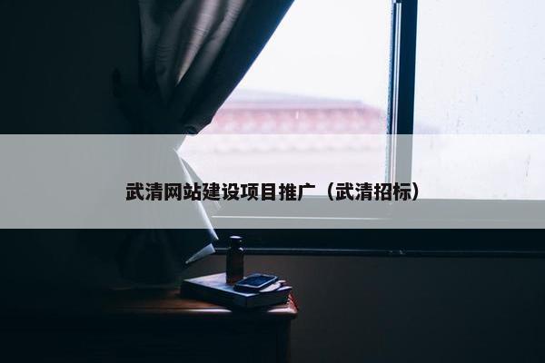 武清网站建设项目推广（武清招标）
