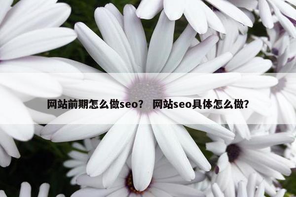 网站前期怎么做seo？ 网站seo具体怎么做？