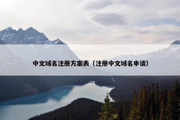 中文域名注册方案表（注册中文域名申请）