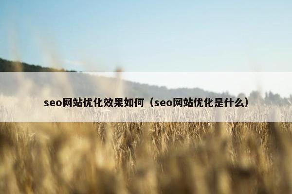 seo网站优化效果如何（seo网站优化是什么）