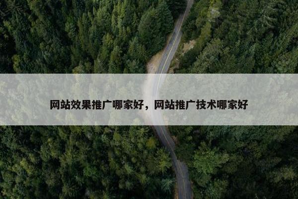 网站效果推广哪家好，网站推广技术哪家好