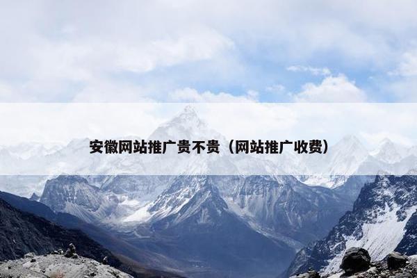 安徽网站推广贵不贵（网站推广收费）