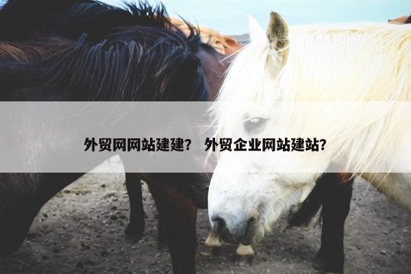 外贸网网站建建？ 外贸企业网站建站？