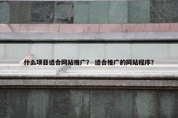 什么项目适合网站推广？ 适合推广的网站程序？