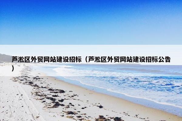 芦淞区外贸网站建设招标（芦淞区外贸网站建设招标公告）