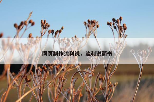 网页制作流利说，流利说简书