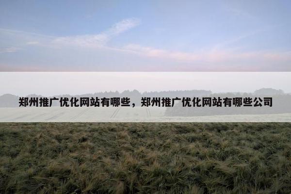 郑州推广优化网站有哪些，郑州推广优化网站有哪些公司
