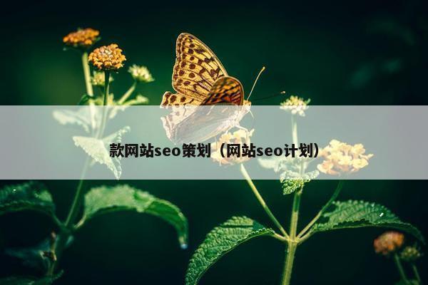 款网站seo策划（网站seo计划）