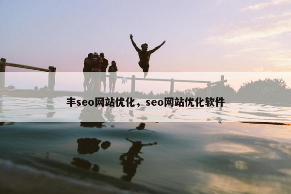 丰seo网站优化，seo网站优化软件