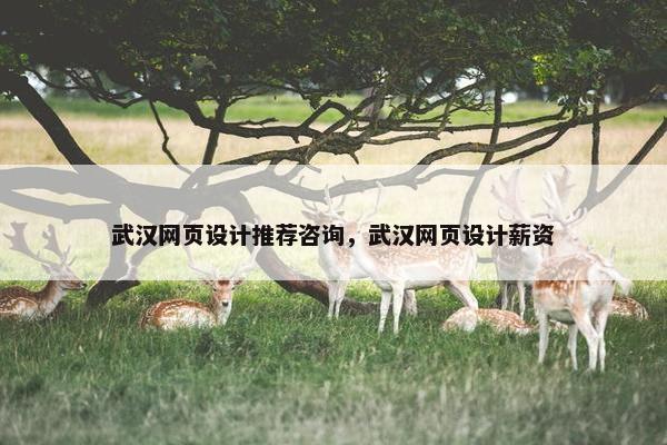 武汉网页设计推荐咨询，武汉网页设计薪资