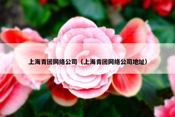 上海青团网络公司（上海青团网络公司地址）