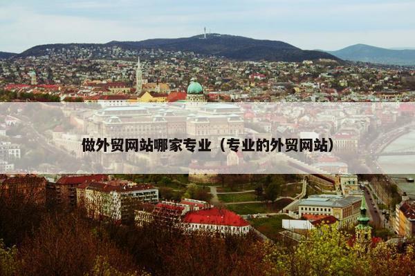 做外贸网站哪家专业（专业的外贸网站）