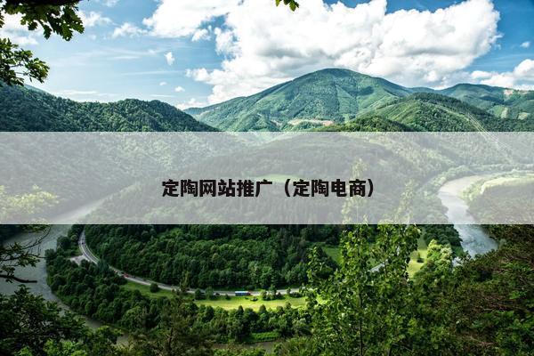 定陶网站推广（定陶电商）